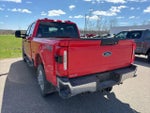 2024 F-250 Super Duty Thumbnail 10