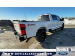 2024 F-250 Super Duty Thumbnail 10