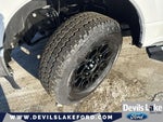 2024 F-250 Super Duty Thumbnail 13