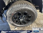 2024 F-250 Super Duty Thumbnail 34