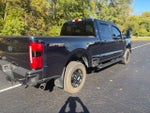 2023 F-250 Super Duty Thumbnail 11