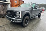 2025 F-250 Super Duty Thumbnail 2