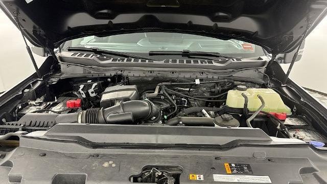 2024 Ford F-250 Super Duty XLT