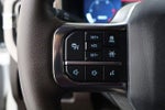 2024 F-250 Super Duty Thumbnail 16