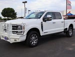 2025 F-250 Super Duty Thumbnail 14