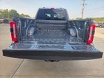 2025 F-250 Super Duty Thumbnail 6