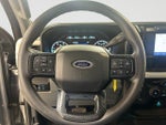 2023 F-250 Super Duty Thumbnail 21