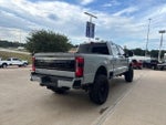2025 F-250 Super Duty Thumbnail 8