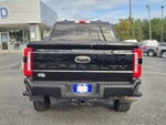 2025 F-250 Super Duty Thumbnail 11