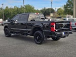2025 F-250 Super Duty Thumbnail 16
