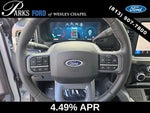 2025 F-250 Super Duty Thumbnail 29