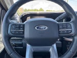 2023 F-250 Super Duty Thumbnail 17