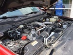 2023 F-250 Super Duty Thumbnail 17