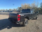 2025 F-250 Super Duty Thumbnail 11
