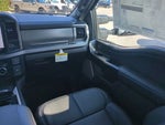 2025 F-250 Super Duty Thumbnail 6