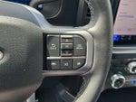 2025 F-250 Super Duty Thumbnail 24