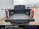 2025 F-250 Super Duty Thumbnail 10