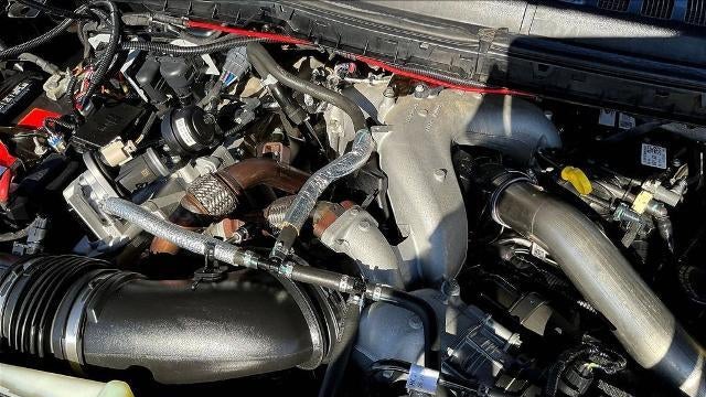 2020 Ford F-250 Super Duty XL