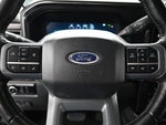 2024 F-250 Super Duty Thumbnail 12
