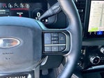 2025 F-250 Super Duty Thumbnail 18