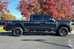 2025 F-250 Super Duty Thumbnail 8