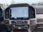 2022 F-250 Super Duty Thumbnail 13