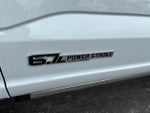 2025 F-250 Super Duty Thumbnail 10