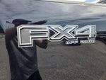 2025 F-250 Super Duty Thumbnail 17