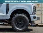 2025 F-250 Super Duty Thumbnail 18