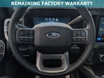 2025 F-250 Super Duty Thumbnail 52