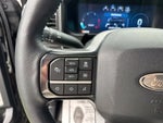 2026 F-250 Super Duty Thumbnail 23