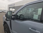 2024 F-250 Super Duty Thumbnail 10