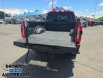 2024 F-250 Super Duty Thumbnail 10