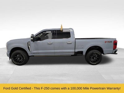 2024 Ford F-250 Super Duty 4X4 Platinum 4DR Crew Cab 8 FT. LB Pickup