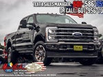 2024 F-250 Super Duty Thumbnail 2