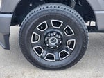 2025 F-250 Super Duty Thumbnail 10