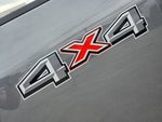 2025 F-250 Super Duty Thumbnail 13