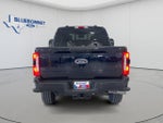2025 F-250 Super Duty Thumbnail 6