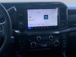 2025 F-250 Super Duty Thumbnail 7
