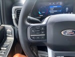 2025 F-250 Super Duty Thumbnail 24