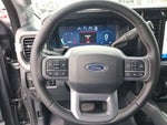 2025 F-250 Super Duty Thumbnail 14