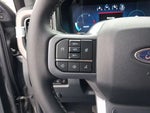 2025 F-250 Super Duty Thumbnail 16