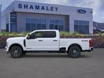 2025 F-250 Super Duty Thumbnail 2