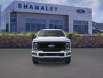 2025 F-250 Super Duty Thumbnail 5