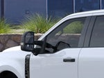 2025 F-250 Super Duty Thumbnail 19