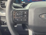 2025 F-250 Super Duty Thumbnail 28