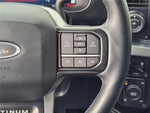 2025 F-250 Super Duty Thumbnail 29