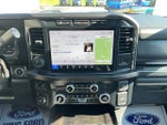 2023 F-250 Super Duty Thumbnail 20