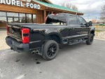2024 F-250 Super Duty Thumbnail 8