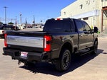 2024 F-250 Super Duty Thumbnail 8